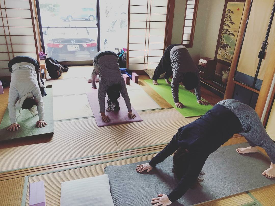 Hatha Yoga(ハタヨガ) イメージ