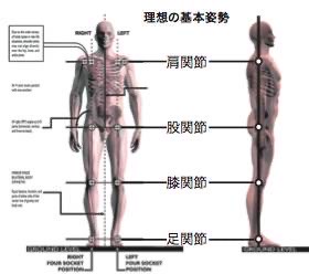 ③エゴスキュー体操 イメージ