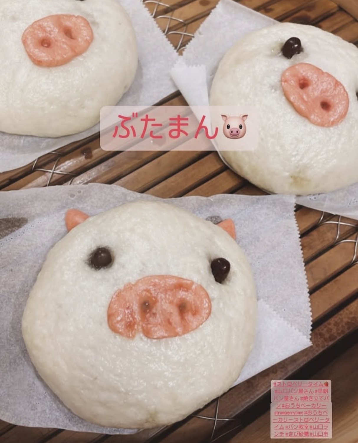 ⑨蒸し料理でぽっかぽか イメージ